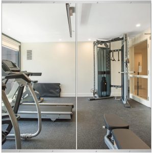Delma Home Gym Mirror