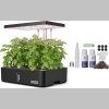 Herb Garden Kit